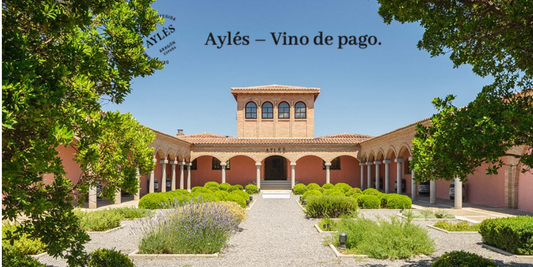 Domein in de kijker: Bodega Aylès - De parel van Aragón