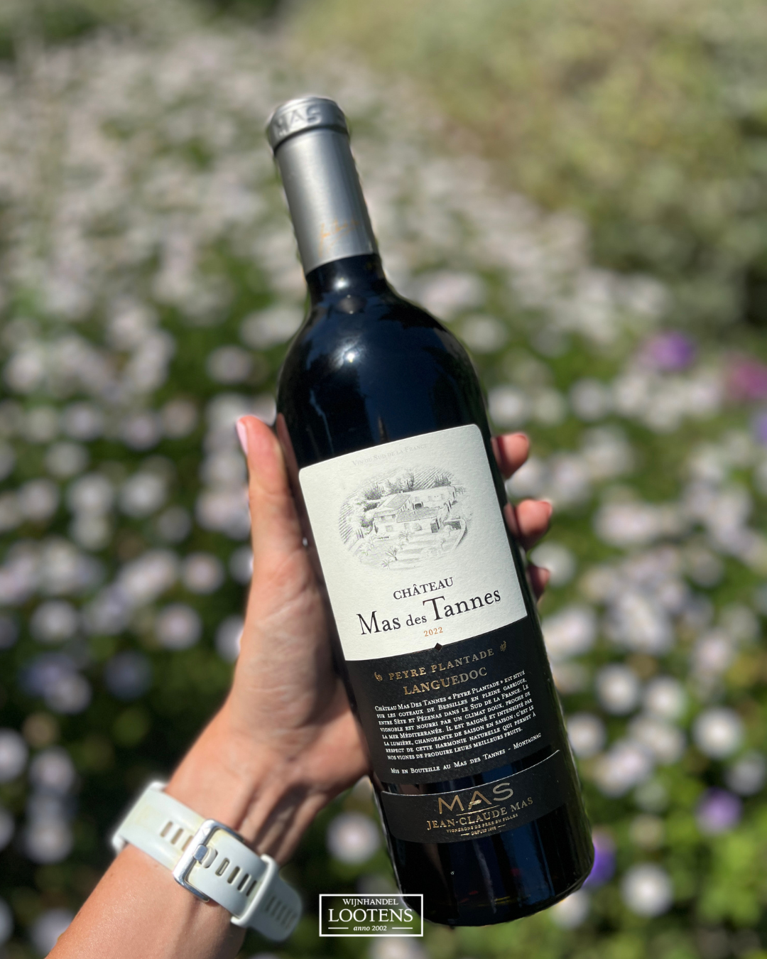 Château Mas Des Tannes 'Peyre Plantade' 2022 (BIO)