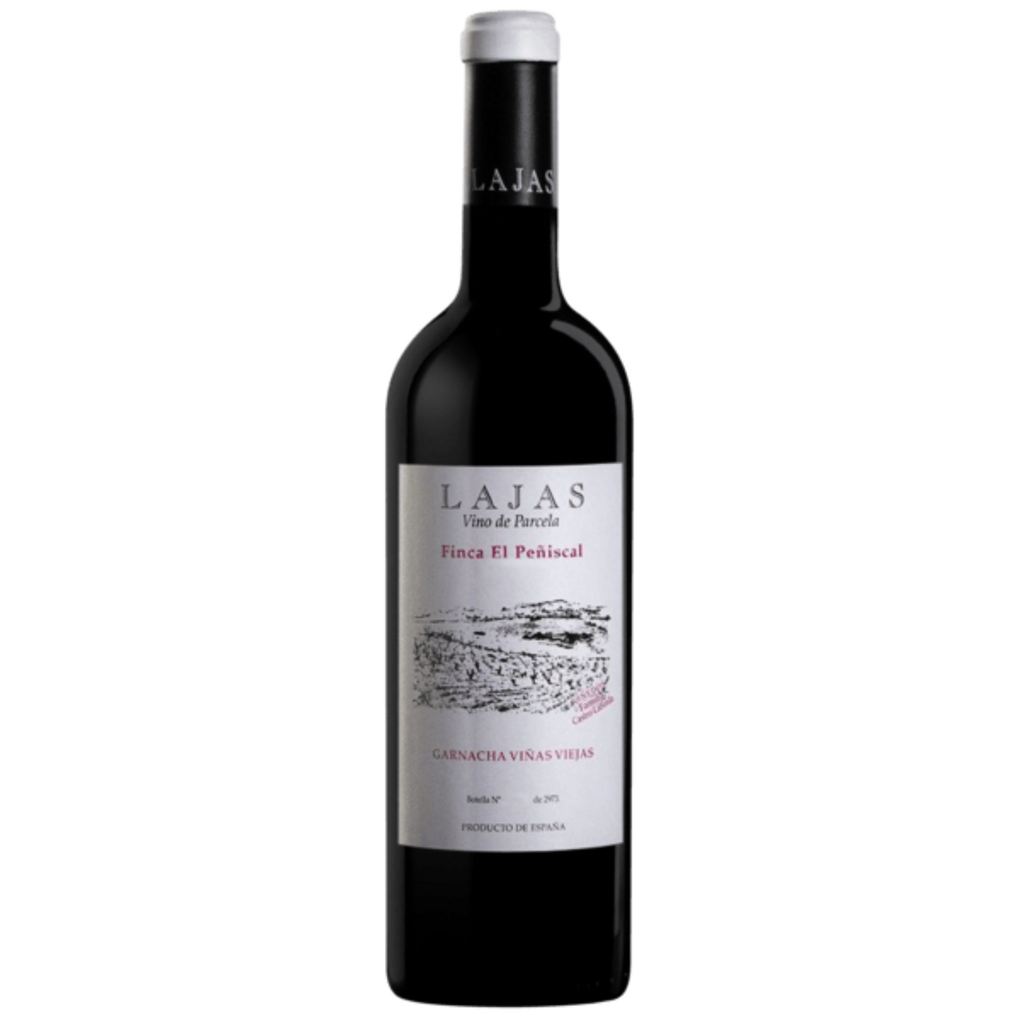 Garnacha Viñas Viejas, Finca El Piñescuel, Bodega Lajas, Calatayud, Spanje 2016