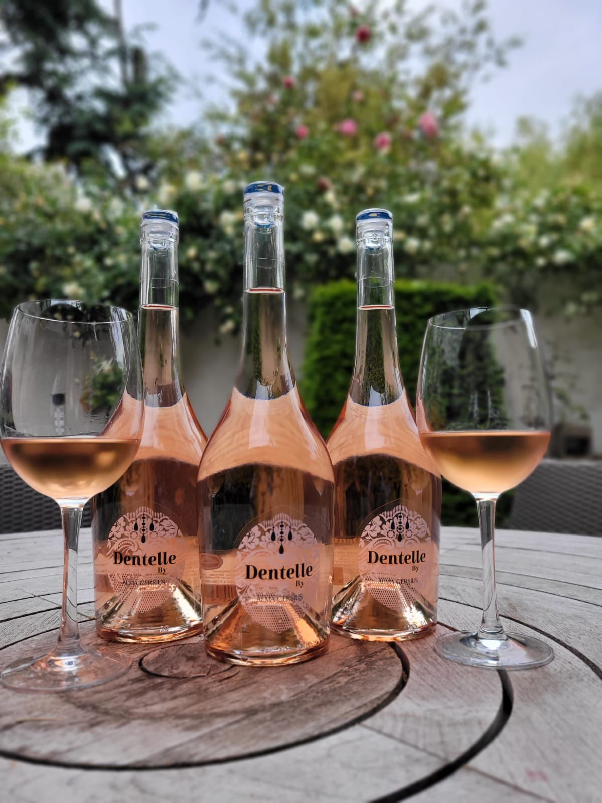 Dentelle Rosé, IGP Oc, 2022