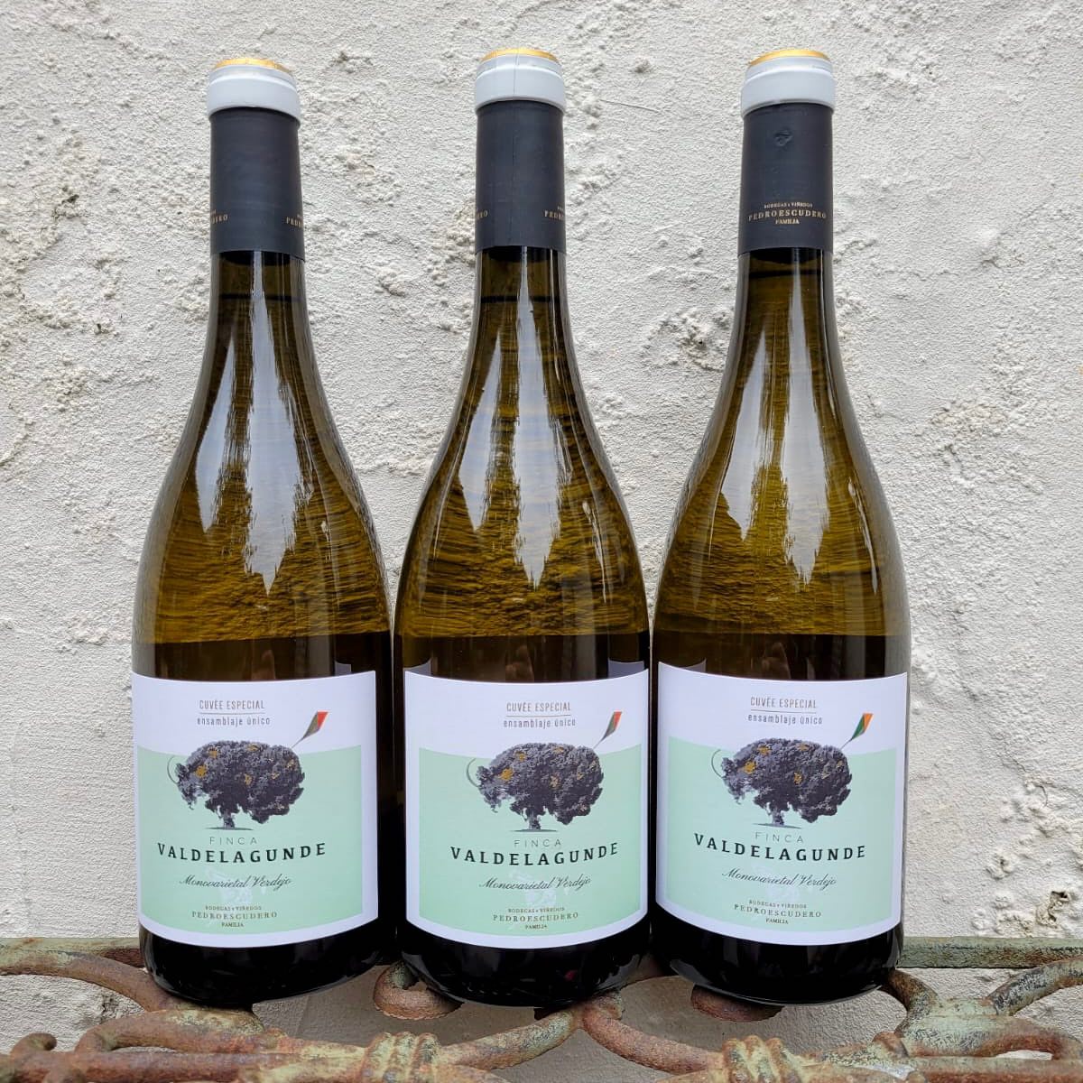 Finca Valdelagunde Verdejo, Cuvée Especial, Pedro Escudero, Vino de la Tierra de Castilla 2024