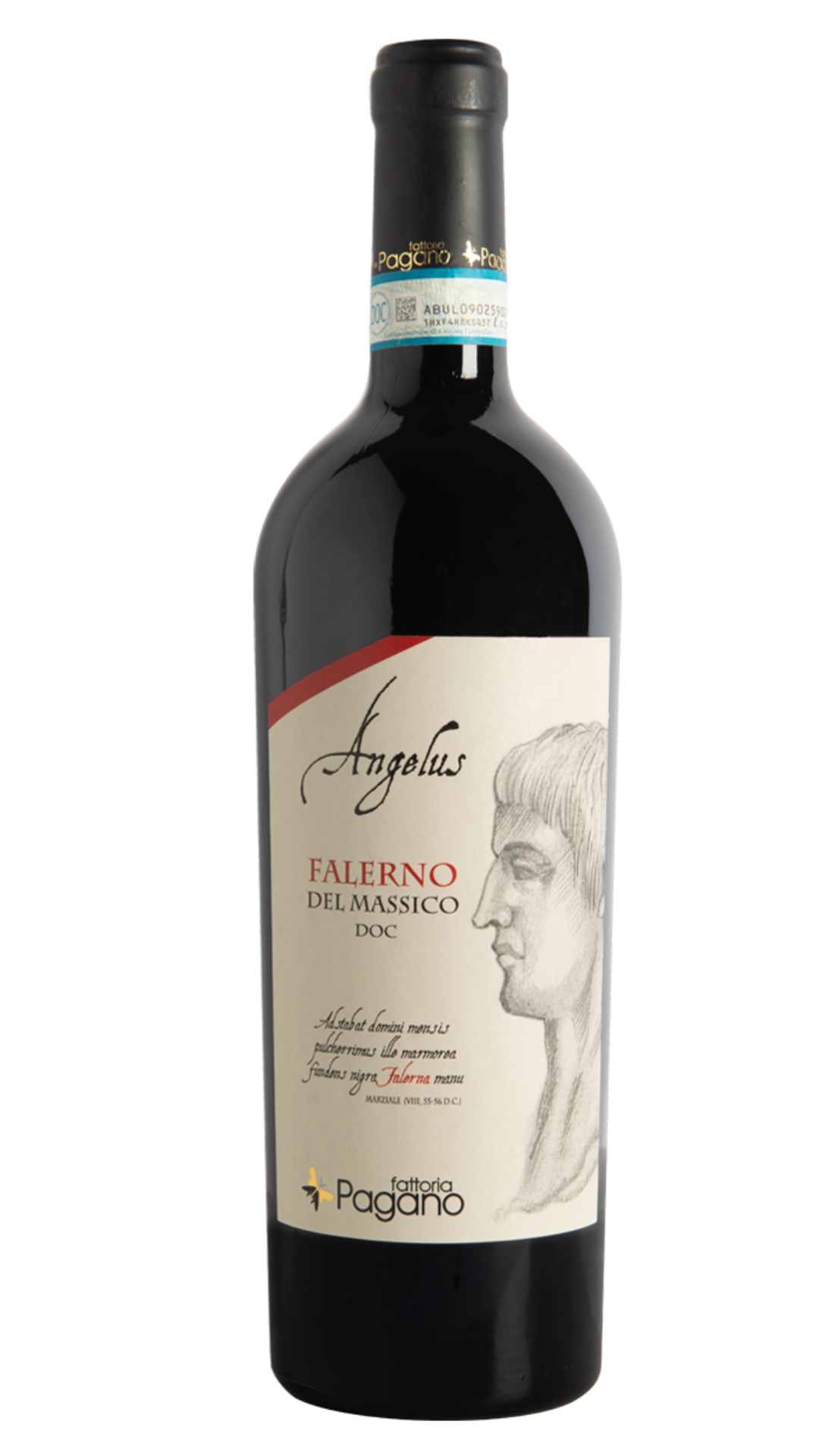 Angelus, Falerno del Massico Rosso Riserva, Fattoria Pagano, Campanie, Italie 2016, Bio