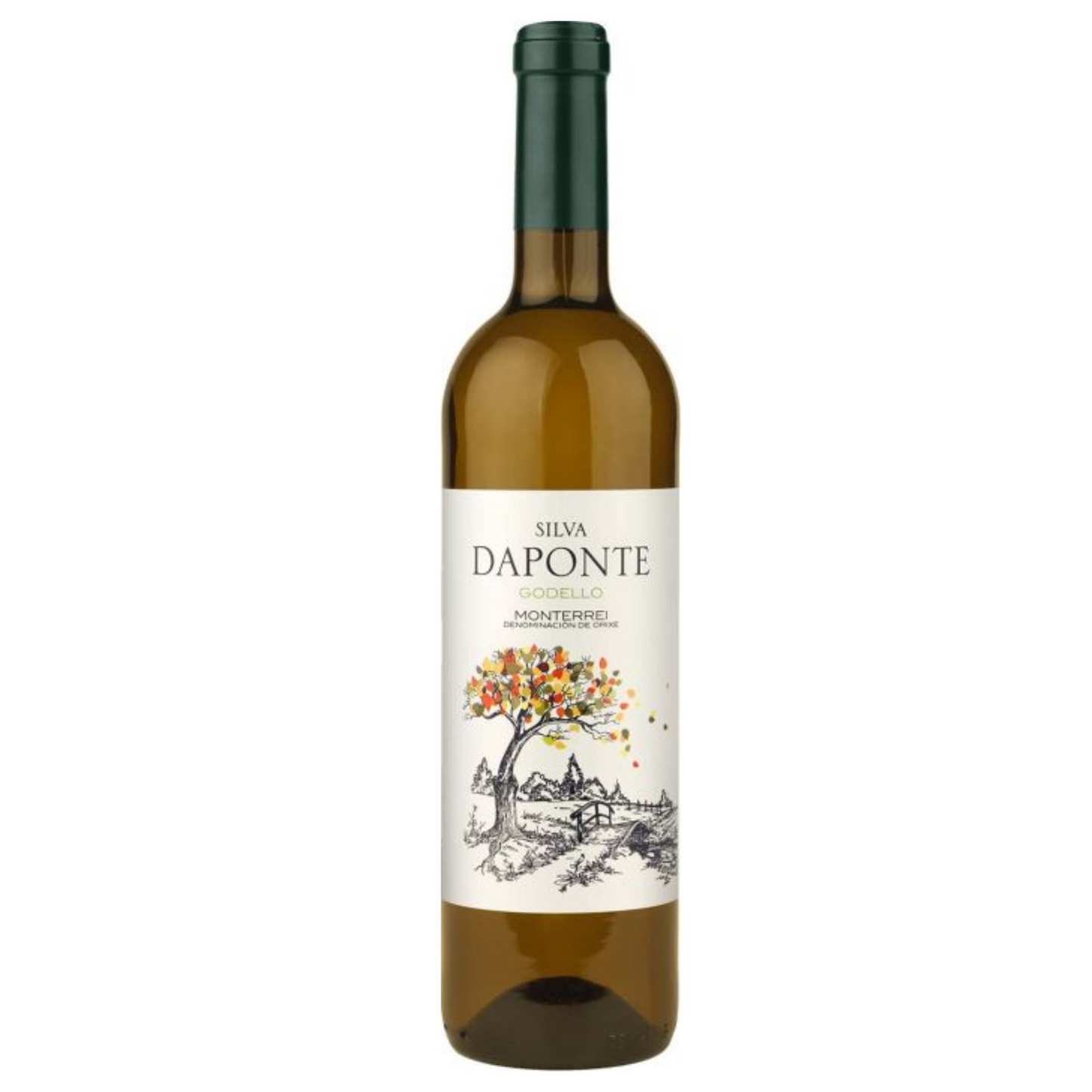 Godello, Silva Daponte, Galicie, Spanje 2021