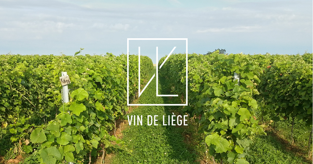 🇧🇪 Nieuw in ons assortiment: Vin de Liège,  Belgische wijn om te ontdekken