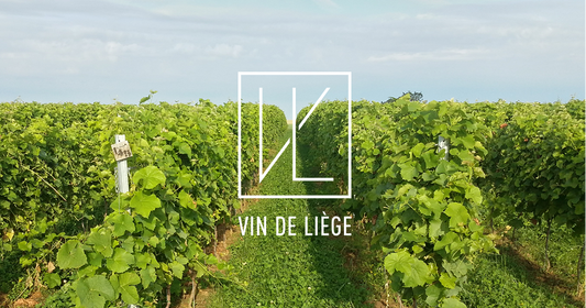 🇧🇪 Nieuw in ons assortiment: Vin de Liège,  Belgische wijn om te ontdekken