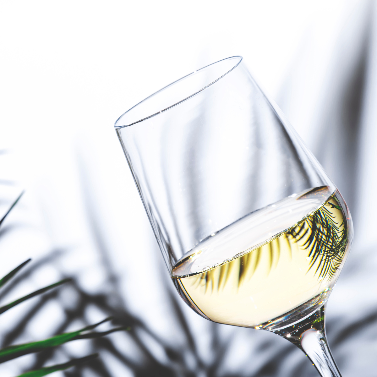 Alcoholvrije Wijn