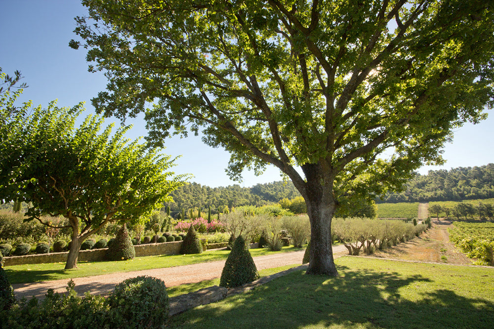 Val Jo Le Rosé, Chateau Val Joanis, IGP Méditerranée 2025