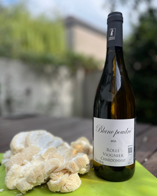 Domaine Pech-Ménel "Blanc Poudré", IGP OC, Saint Chinian, 2025, BIO