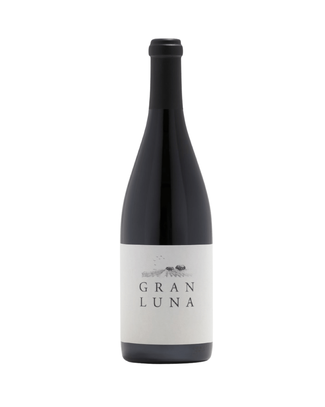 Gran Luna, Bodega Dehesa de Luna, VDT de Castilla , Spanje 2016