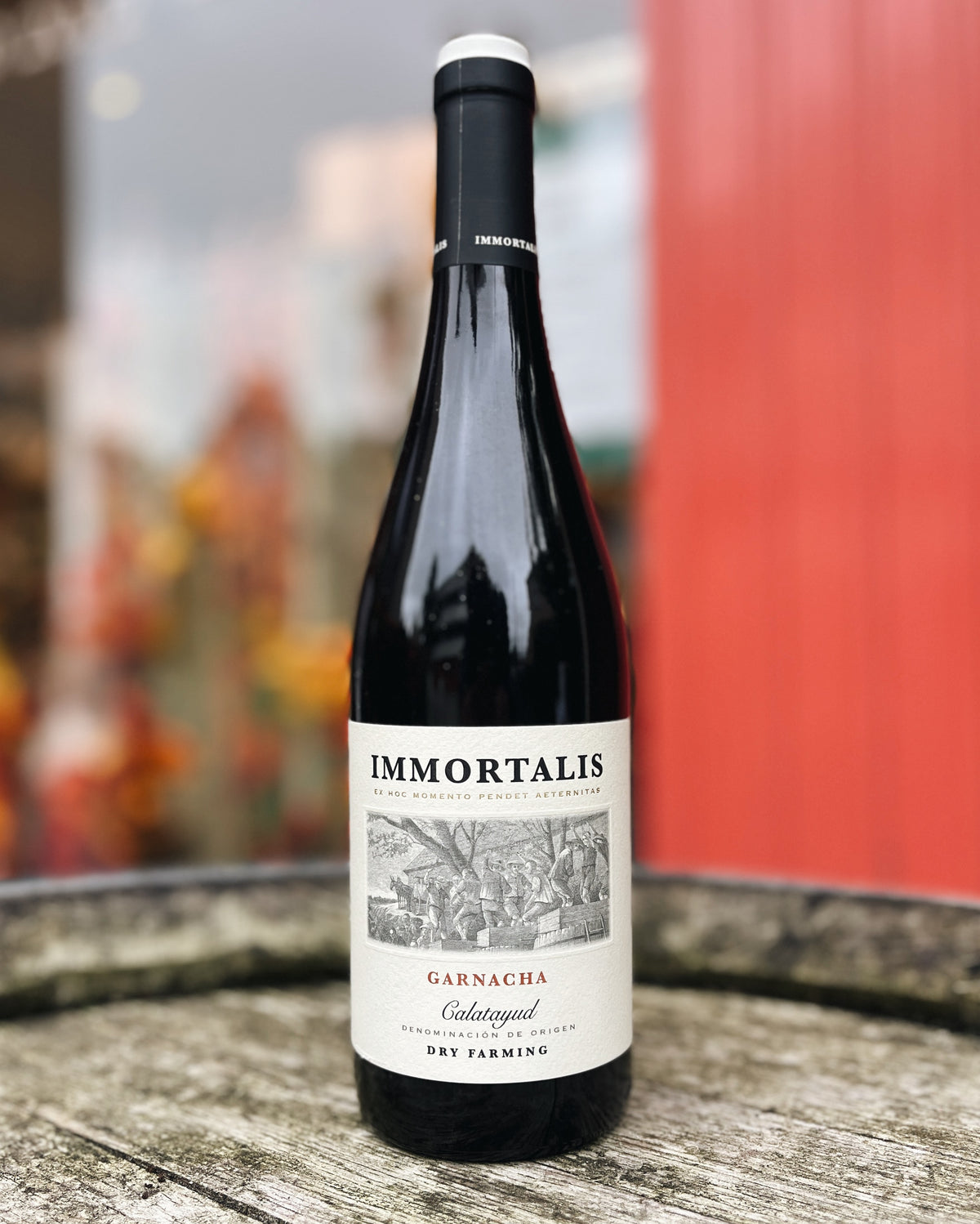 Immortalis Garnacha, Calatayud, Spanje, 2023