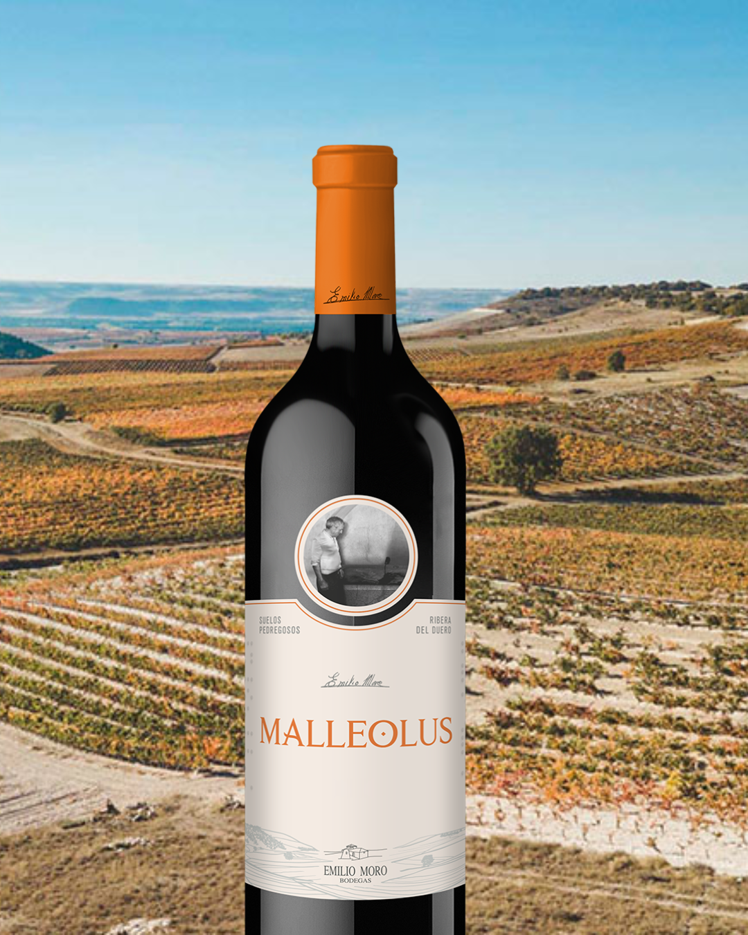 Bodega Emilio Moro ‘Malleolus’, Ribera del Duero, Spanje 2022