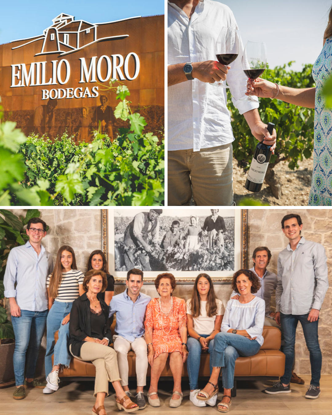 Emilio Moro, Ribera Del Duero, 2022