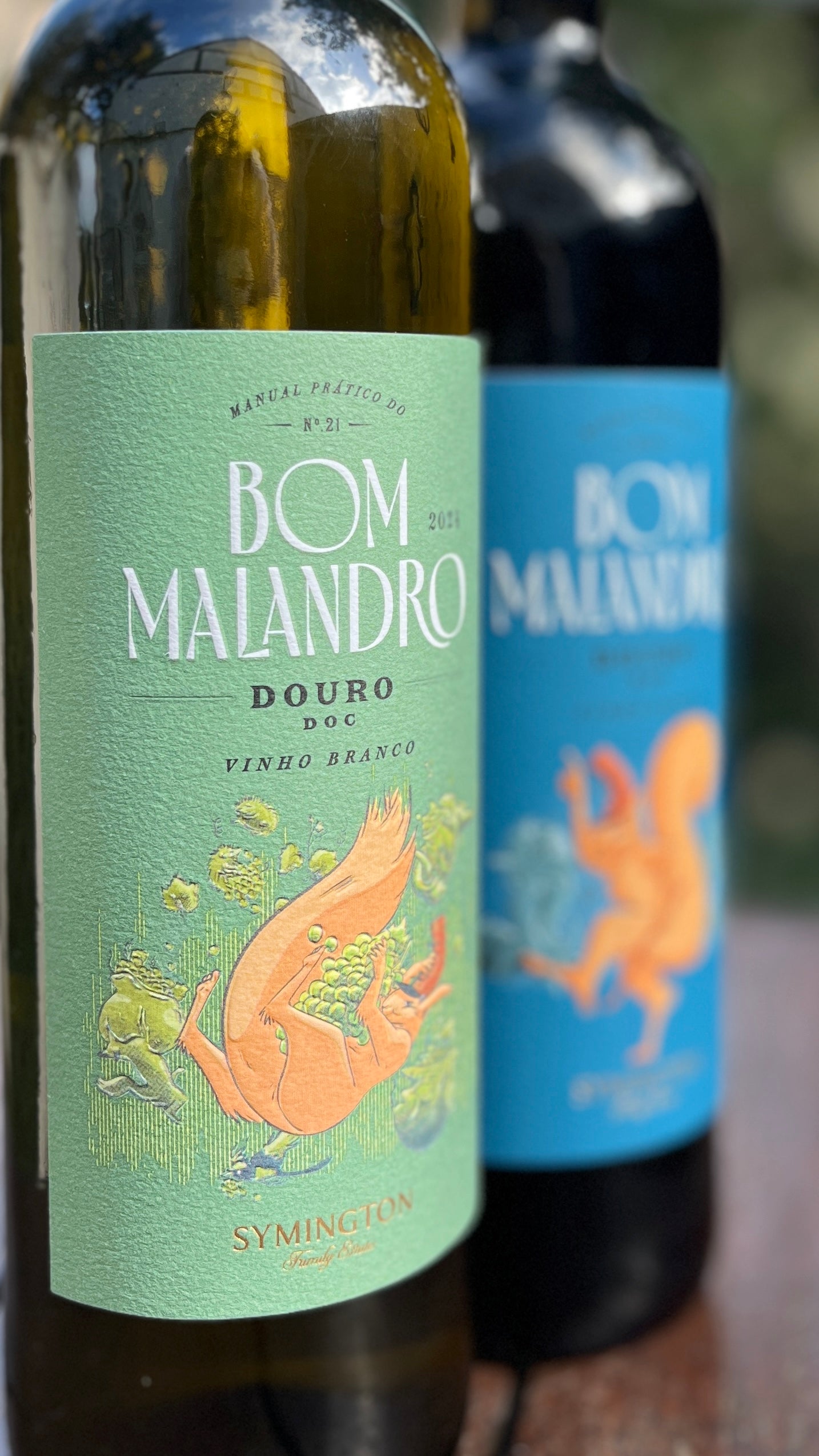 Bom Malandro, Vinho Branco, Douro DOC, Symington Family Estate, 2024