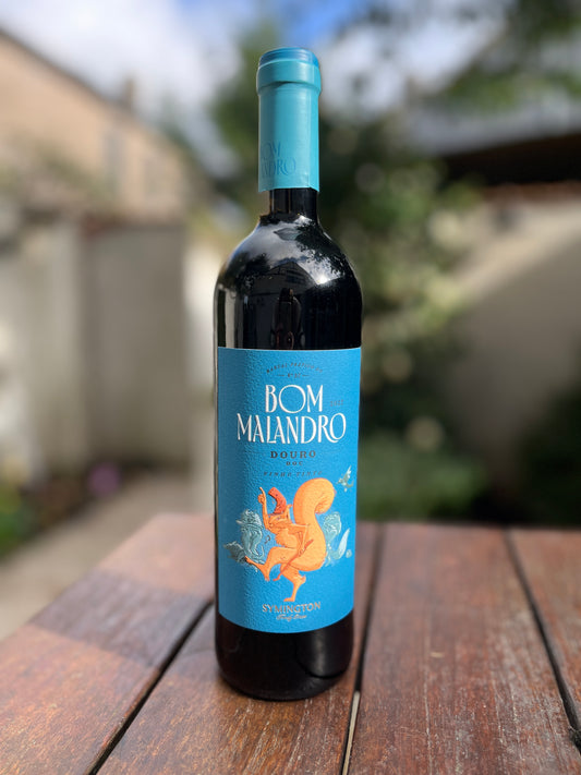 Bom Malandro, Vinho Tinto Douro DOC, Symington Family Estate, 2022