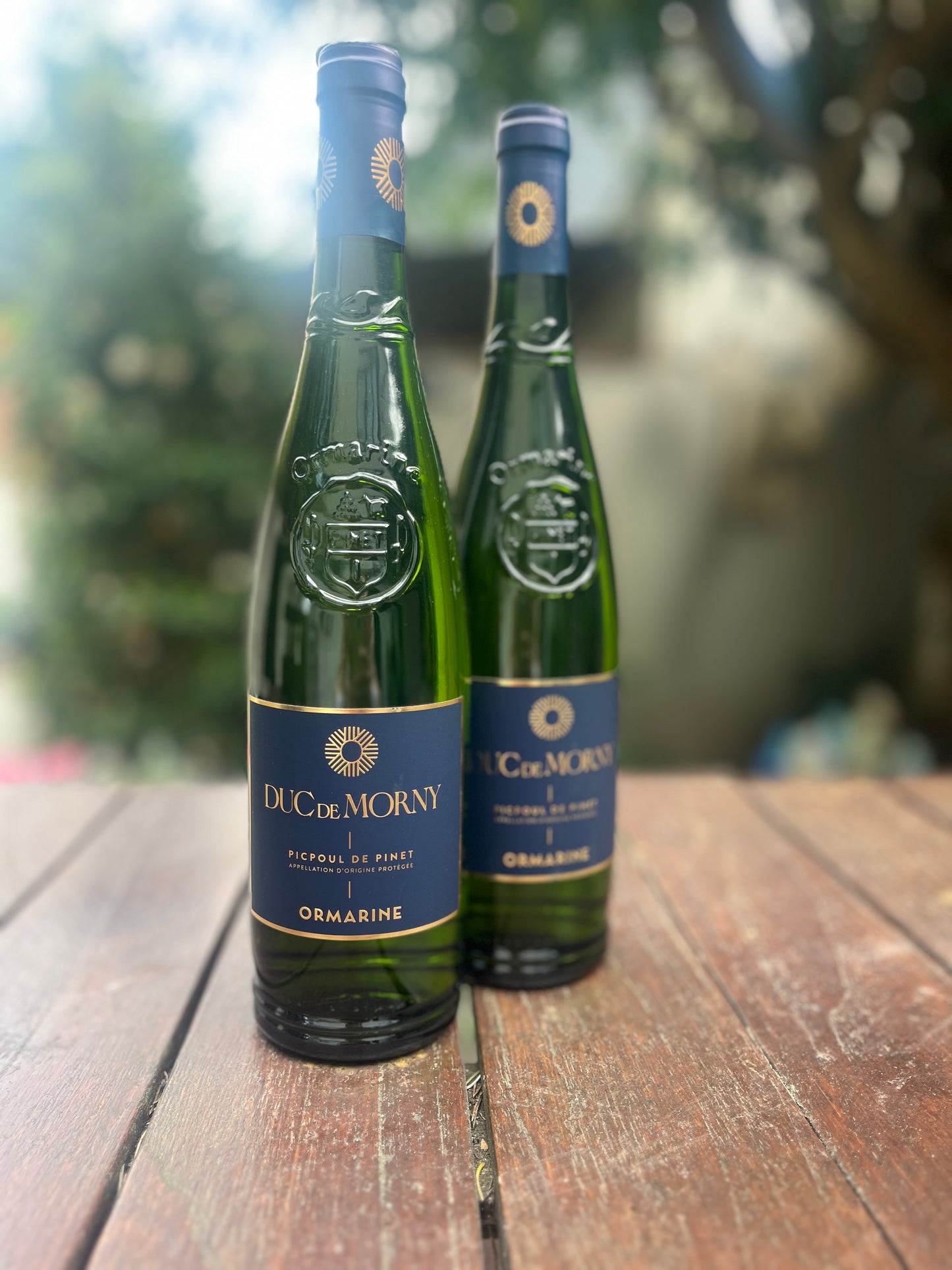Duc de Morny, Caves de L’ormarine, 2025, AOP Picpoul de Pinet , Frankrijk