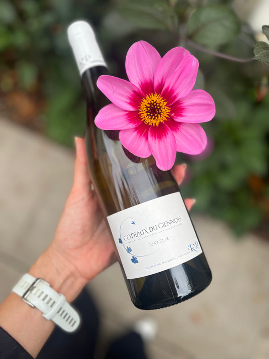 Coteaux-du-Giénois, Domaine Raimbault, Loire, 2024